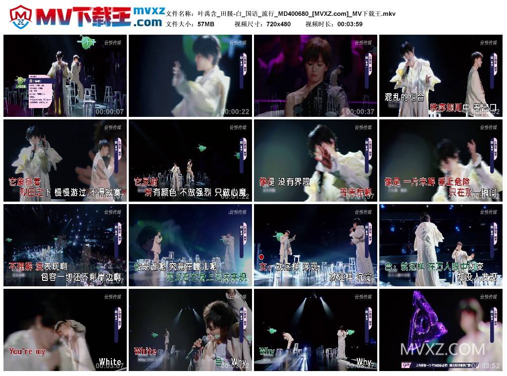 叶禹含_田燚-白_国语_流行_MD400680